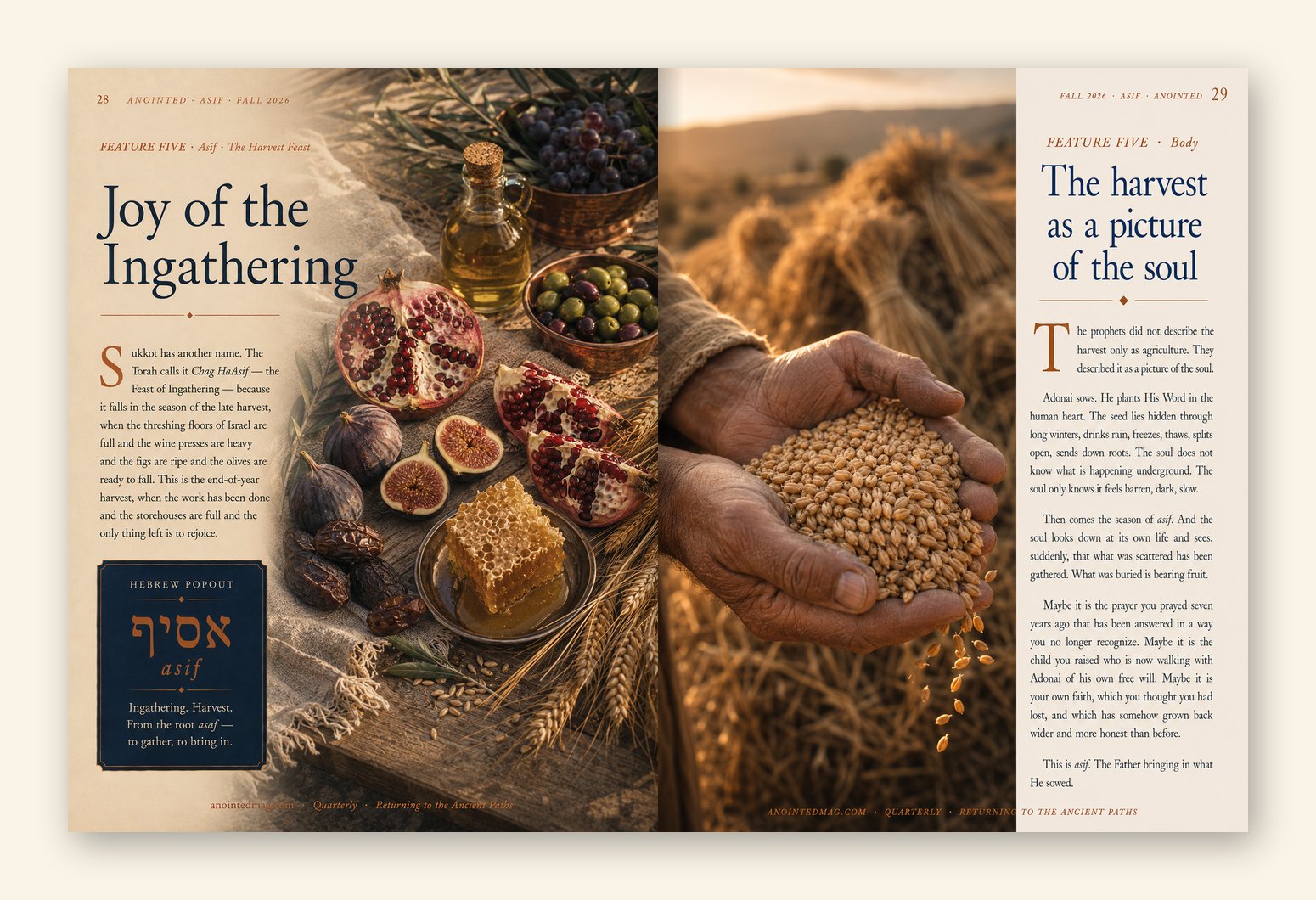 Sample spread from Anointed Fall 2026 — Asif